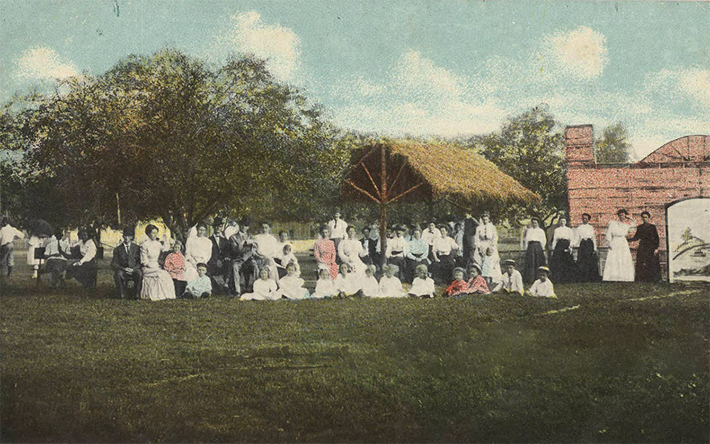 Large group of people sitting and standing adjacent to trees