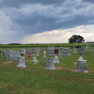 Cemetery with grass and gravestones
