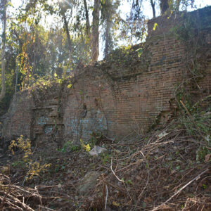 Remnants of decayed red brick building amid overgrowth