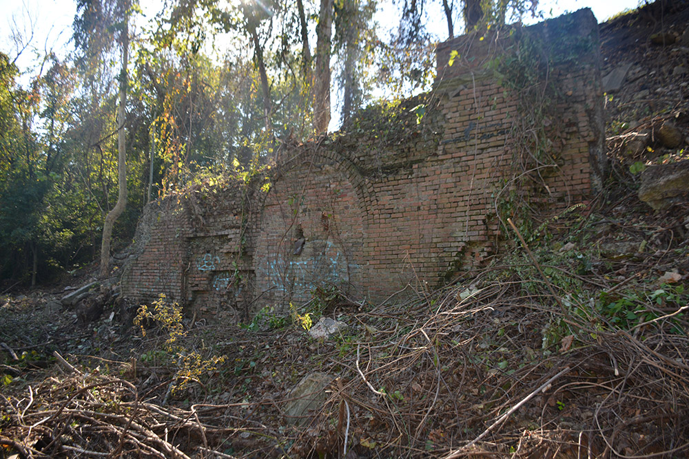 Remnants of decayed red brick building amid overgrowth