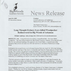 white paper with a bird logo that says "Big Woods Conservational Partnership"
