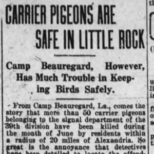 "Carrier Pigeons Are Safe In Little Rock" newspaper clipping