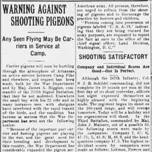 "Warning Against Shooting Pigeons" newspaper clipping