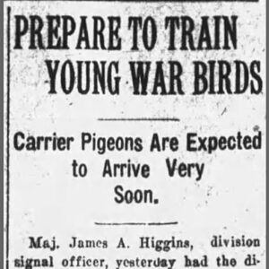 "Prepare to Train Young War Bird" newspaper clipping