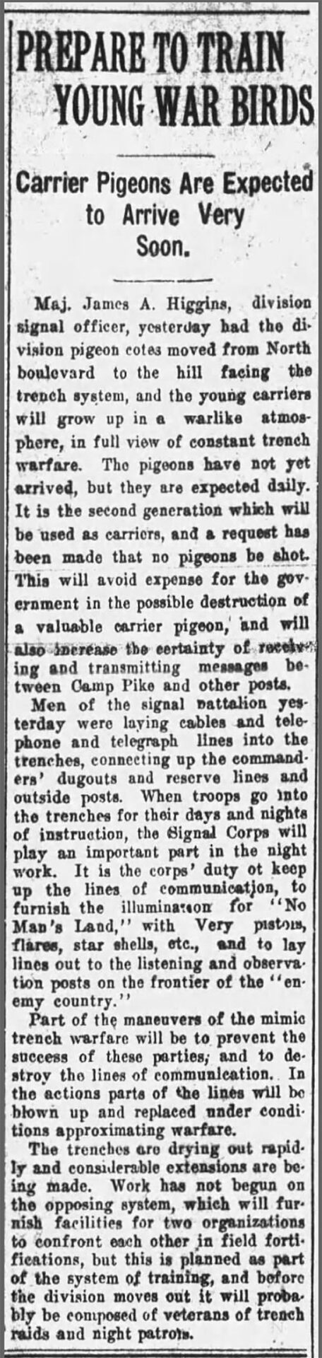 "Prepare to Train Young War Bird" newspaper clipping