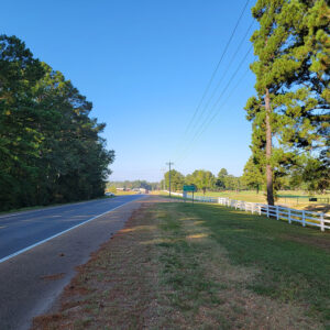 Country road with trees and fields alongside