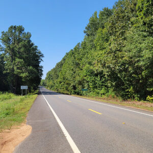Rural highway with trees lining both sides of road