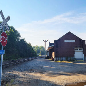 Railroad crossing with trees along one side of tracks