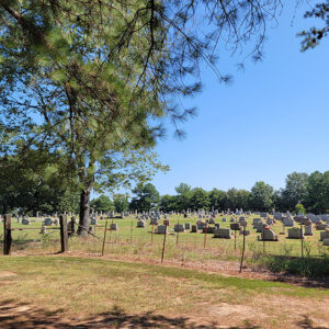 Large cemetery with many gravestones with trees on edge of cemetery