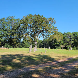 Cemetery with graves and trees and gravel path