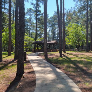 Picnic area with lots of trees and shade