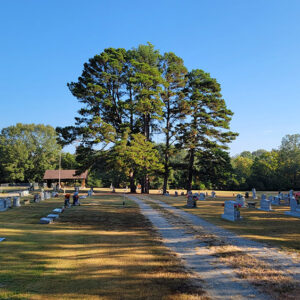 Cemetery with graves