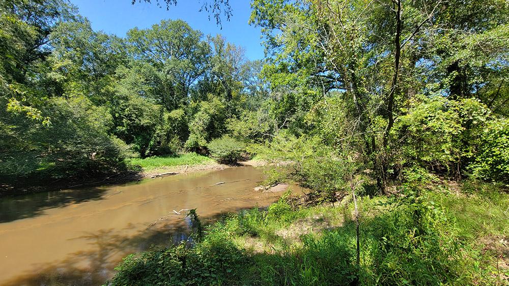 Muddy river flowing between two tree lined banks