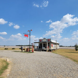 Old single story wooden store/gas station with Coke signs and a red pig cutout hanging on a pole surrounded by cotton fields