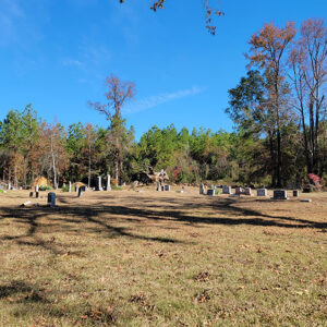 Cemetery with gravestones next to wooded area