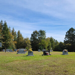 Cemetery with graves