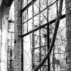 Black and white view out a window of ruins of brick building with broken windows and trees growing inside