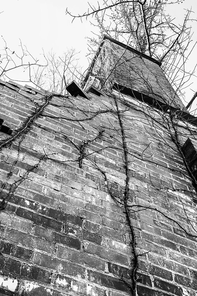 Black and white view of a brick chimney from below with cracks in it and trees growing into it