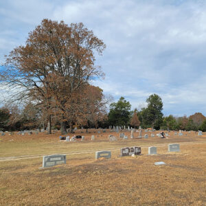 Cemetery with graves and trees