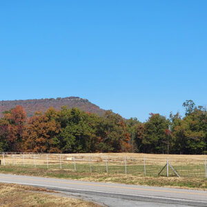 Tree-covered hill seen in the distance with fenced-in pasture in foreground