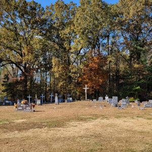 Gravestones and crosses next to wooded area