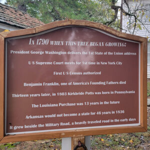 red wood-framed sign with information about a tree