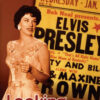 Book cover featuring woman in a dress in front of a poster about Elvis
